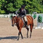 Owlstone Equestrain Center Owlstone Equestrain Center